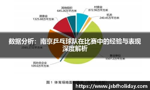 数据分析：南京乒乓球队在比赛中的经验与表现深度解析